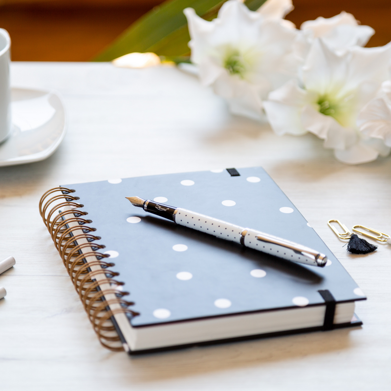 White & Black Polka Dotted Fountain Pen Set with Schmidt Fine Nib