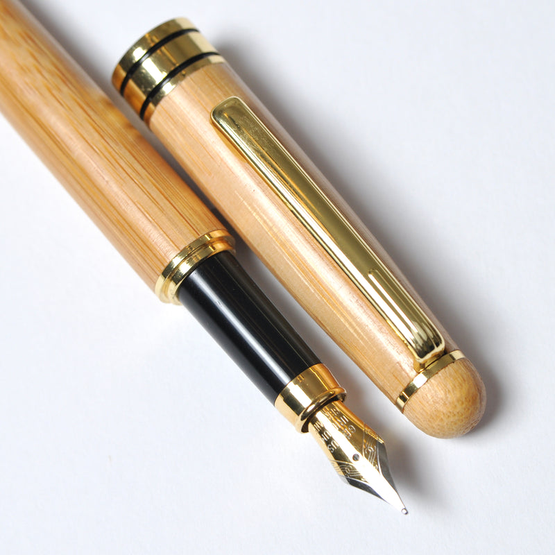 best buy fountain pen